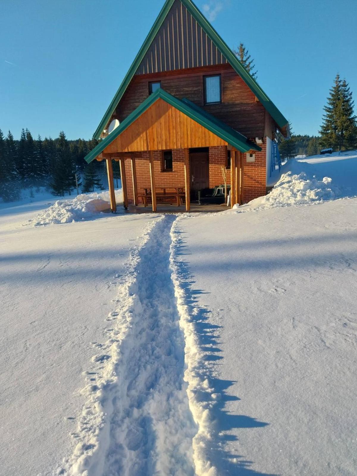 House In Forest Žabljak Exterior foto